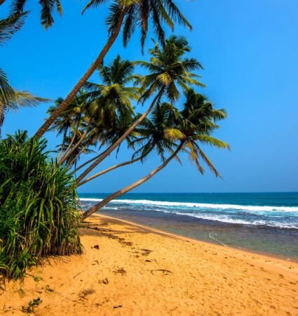 All-inclusive international holiday packages from India