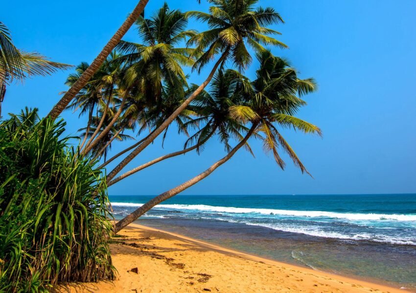 All-inclusive international holiday packages from India